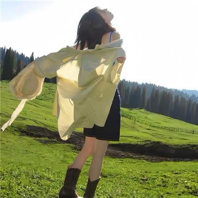 蛊惑狗寻宝